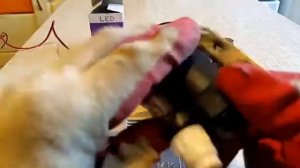 Подключение Генератора г.427 к комутатору 3734 мотоцикл Восход-Минск!