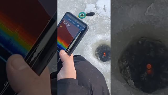 магнитные бури сводят сума даже рыбу🎣🥴 #рыбалка #природамать #хищникисвета смотреть онлайн