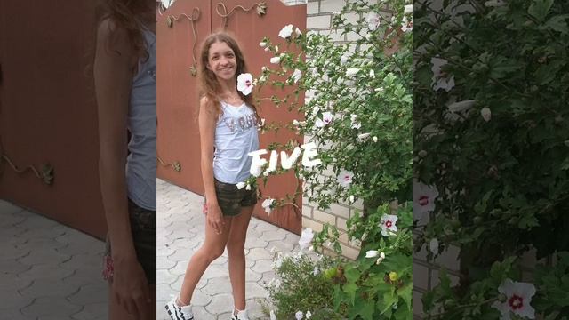 ТикТок 2 обратный отсчёт смотреть онлайн