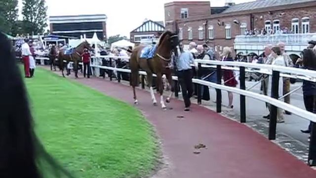 Pontefract Races Canon Powershot SX270 HS Video Test смотреть онлайн