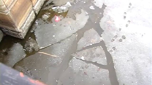 Введены штрафы за выход на тонкий лед смотреть онлайн