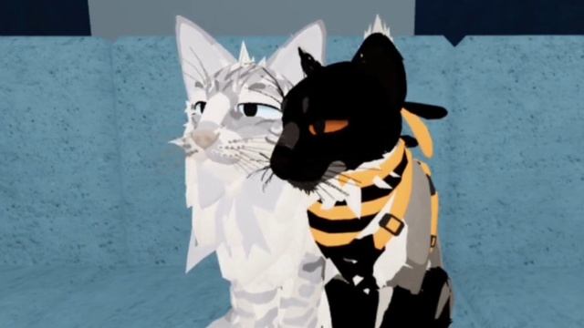 Вопрос ответ!#warriorcats #котывоители #roblox