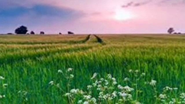 Весна. ,,Я встретил Вас" смотреть онлайн