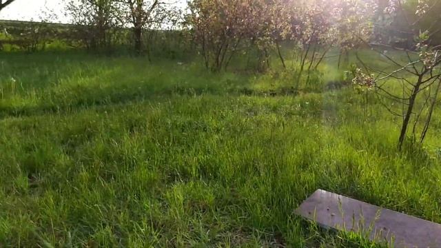 Как приготовить рыбу на углях смотреть онлайн