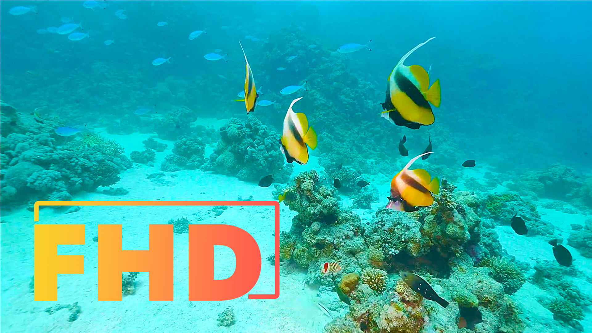 Океан. Подводный мир. Расслабляющее видео 2 часа. Видовое видео.