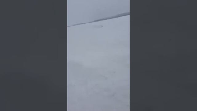 Кубок ЯНАО по кроссу на снегоходах 2016 – 2017 г.г. – IV-й заключительный этап в г. Надым