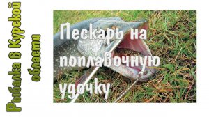 Пескарь на поплавочную удочку  Ловлю живца