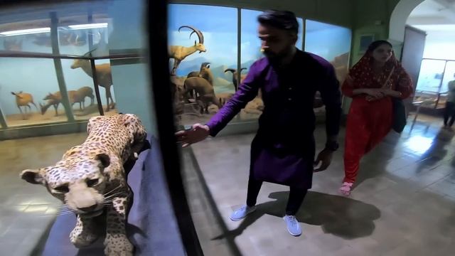 Villagers First Time Met With A White Man In A Museum ! Tribal People Visit A Museum смотреть онлайн
