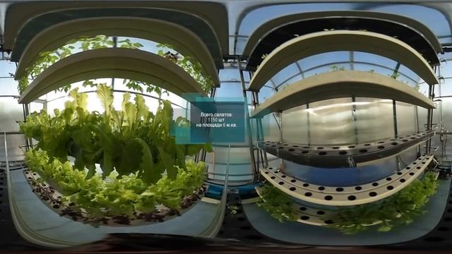Dynamic Botanic - вертикальные теплицы с двигающимися салатными линиями. Обзор 360. смотреть онлайн