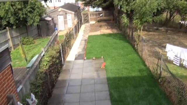 Sony CX250E small Garden Test смотреть онлайн