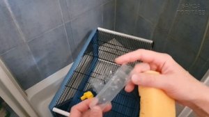 ? Клетка для попугая || Как и чем  мыть? || Стерилизация клетки!