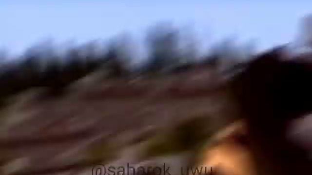 видео снято давно просто только недавно нашла, когда чистила телефон #эдисон #youtube #снайпер смотреть онлайн