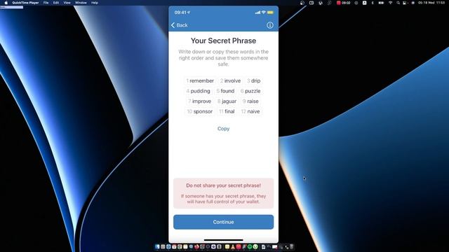 How To Connect Trust Wallet On MetaMask On iPhone смотреть онлайн