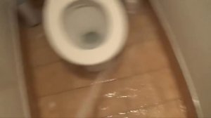 Как ссут в общественном туалете