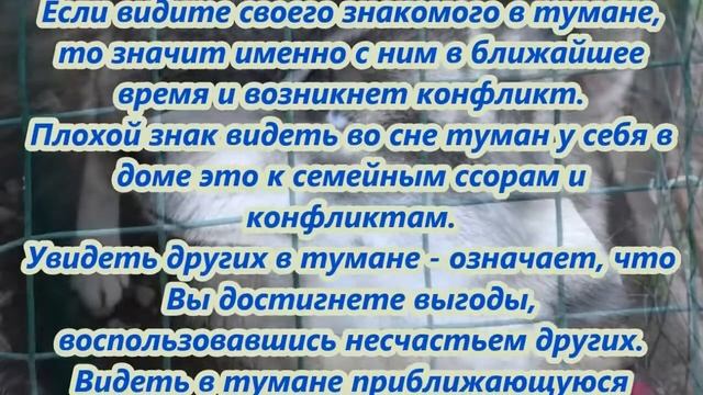 К чему снится туман смотреть онлайн
