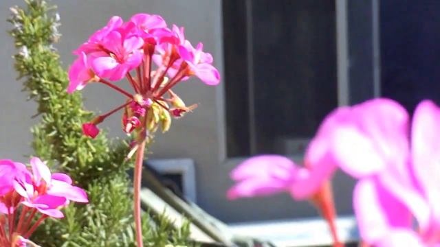 sony DSC H70 test video смотреть онлайн