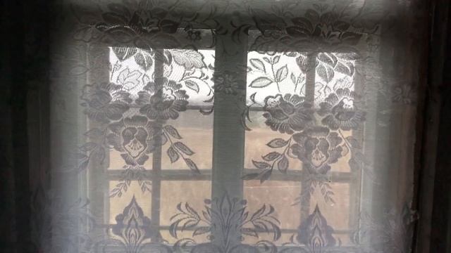 Заброшенные деревни Архангельской области. д. Грихневская смотреть онлайн