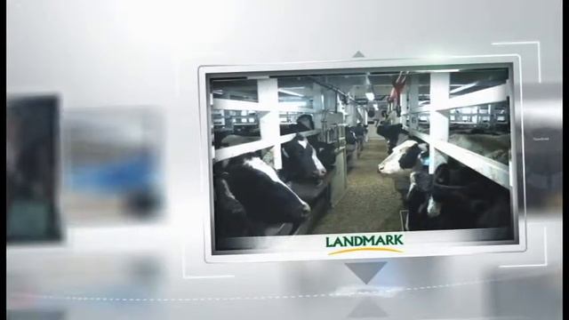 Landmark презентация смотреть онлайн