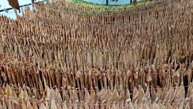 Virginia Golta дегустация