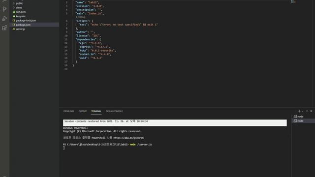 package json lab12 Visual Studio Code 2021 11 28 22 33 47 смотреть онлайн