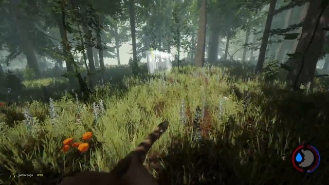 [HD] The Forest Gameplay - Max Settings [R9-380][FX6300] смотреть онлайн