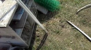 Как огородить деревья или кусты