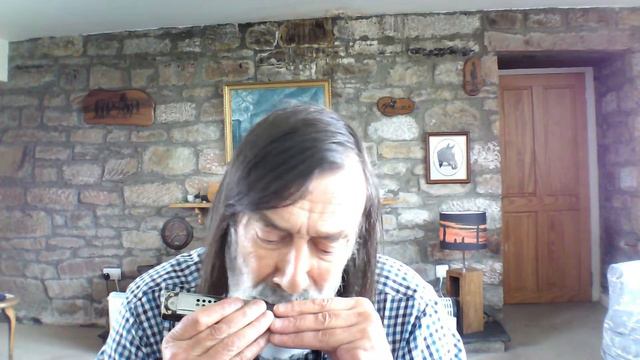 Miss Mcleod's Reel on Tremolo Harmonica смотреть онлайн