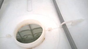 Водоросли в еврокубах. Вопрос: КАК ИЗБАВИТЬСЯ?