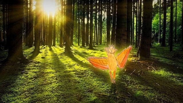 Танцующая птица смотреть онлайн