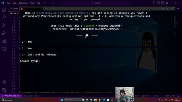 ?Temas y Plugins con ZSH - Curso Entorno de desarrollo con Windows 03 смотреть онлайн