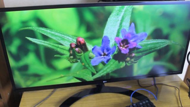 КУПИЛ 21:9 МОНИТОР 34' |ВСЯ ПРАВДА! LG 34UM59-P смотреть онлайн