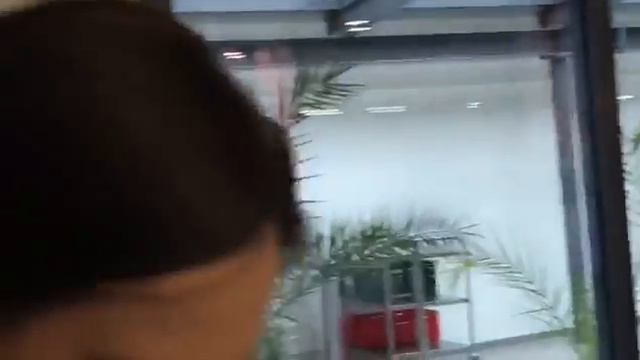 Фермеры Иссык-Кульской области обучились в Германии для повышения уровня сельского хозяйства смотреть онлайн