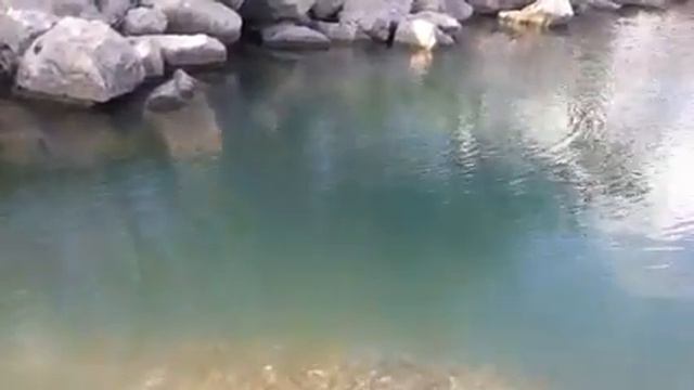 Нечепсухо смотреть онлайн