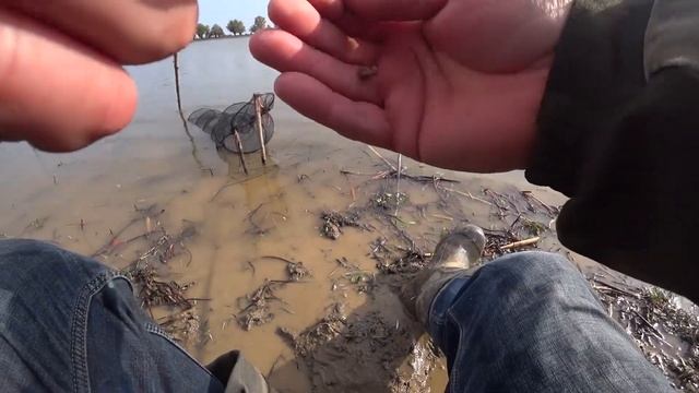 Рыбалка в Астрахани 2021 Бешеный клев рыбы! Часть 1 смотреть онлайн