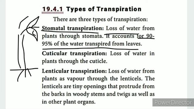 CLASS 9 SCIENCE UNIT-19 PLANT PHYSIOLOGY PART-4 TRANSPIRATION смотреть онлайн