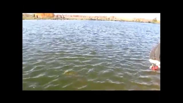 TROUT AREA FISHING смотреть онлайн