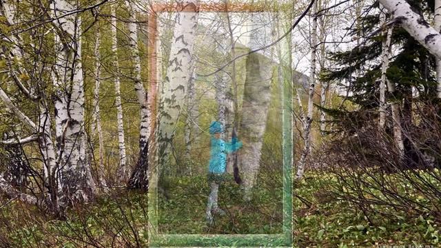 2 Б Природа Зыряновского района смотреть онлайн