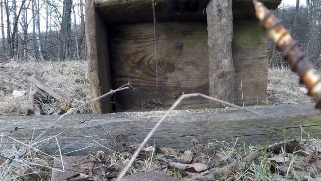 Скворечник и синичник. House for birds. смотреть онлайн