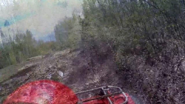 TRX680 Taja смотреть онлайн