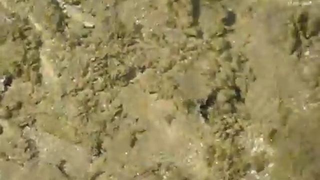 img 030.avi смотреть онлайн