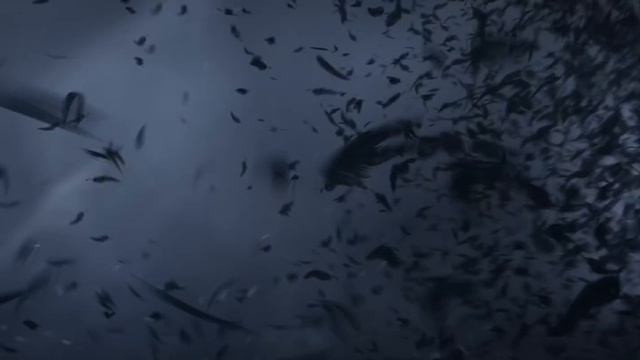 King Arthur: Knight's Tale | Cinematic Intro смотреть онлайн