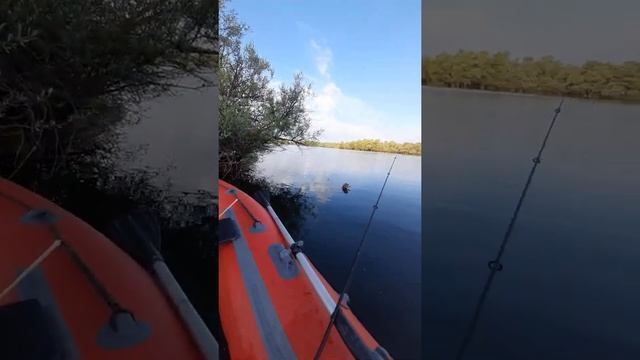 Рыбалка краснодар Краснодарский край Беляевские карьеры Адыгея #diezelpanda смотреть онлайн