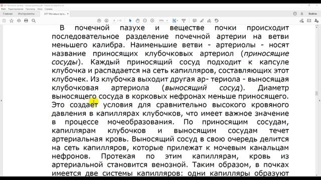 46 Мочевые органы. Общие данные смотреть онлайн