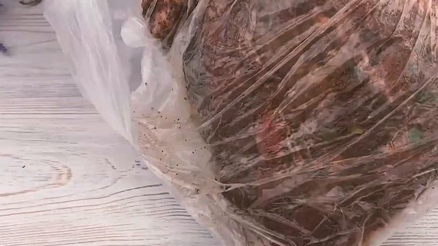 Готовлю настоящий бекон без коптильни в духовке. Вы навсегда забудете о магазинном беконе! смотреть онлайн