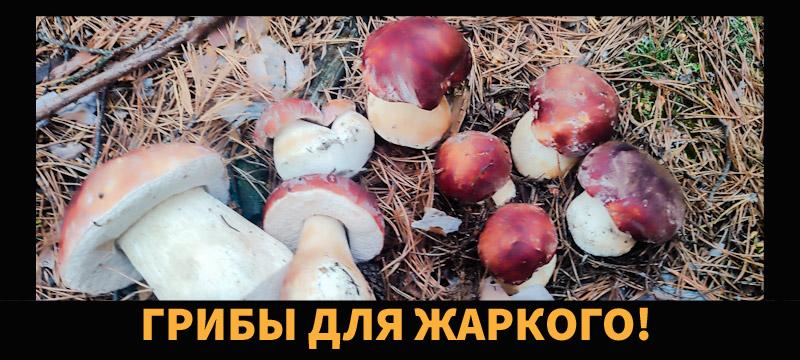 Боровички для Жаркого в Казане смотреть онлайн