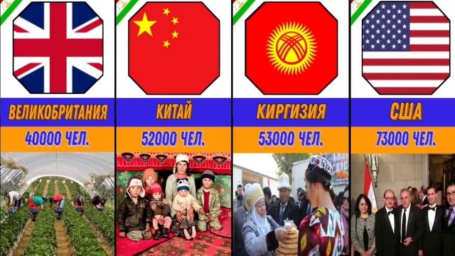 В каких странах больше всего живут этноси таджики #таджики #таджикистан #сравнение #история #иран смотреть онлайн
