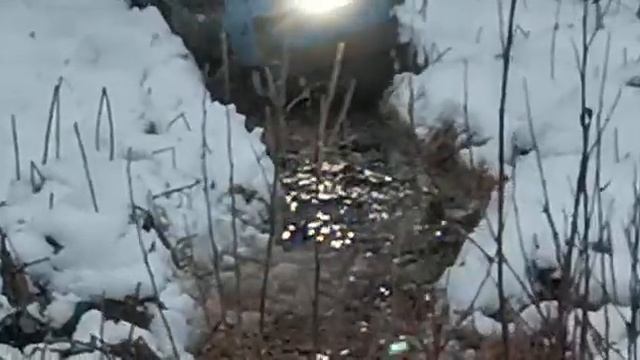 Мотособака барбос на болоте смотреть онлайн