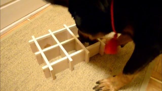 Босерон и развивающая игра (2)