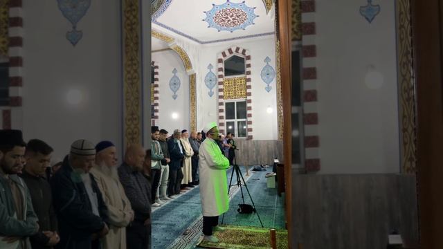 2 ноября 2023 г. смотреть онлайн