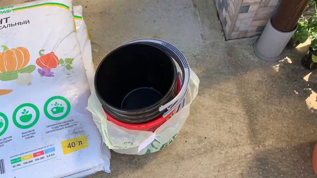 Заказала и землю, и ведра, а остальными посадками займусь уже завтра. смотреть онлайн